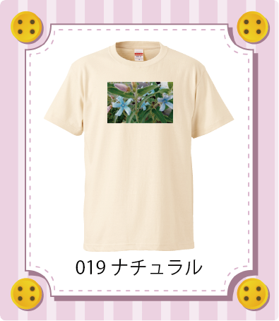 iC[W
